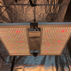 480W Horticulture LED Grow Lights