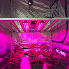 RedFarm 730nm 30W UVA Grow Light LED Bar UV Supplemental Grow Bar