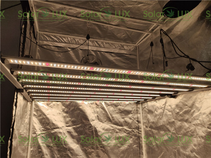 Vertical 1000w EnerMax LED Horticulture Led Grow Light