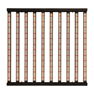 l'horticulture LED de 1200W 10Bars Samsung LM301H élèvent l'élevage d'intérieur léger