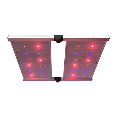 Le conseil LED de RedFarm 480W 3500K Quantum élèvent des lumières Samsung LM301H