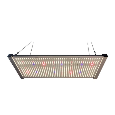 le conseil LED de 320W Quantum élèvent le plein spectre SÉOUL 395nm UV de lumières
