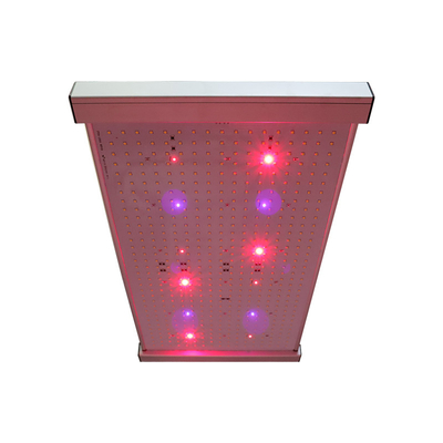 Quantum 2x2 LED se développent léger